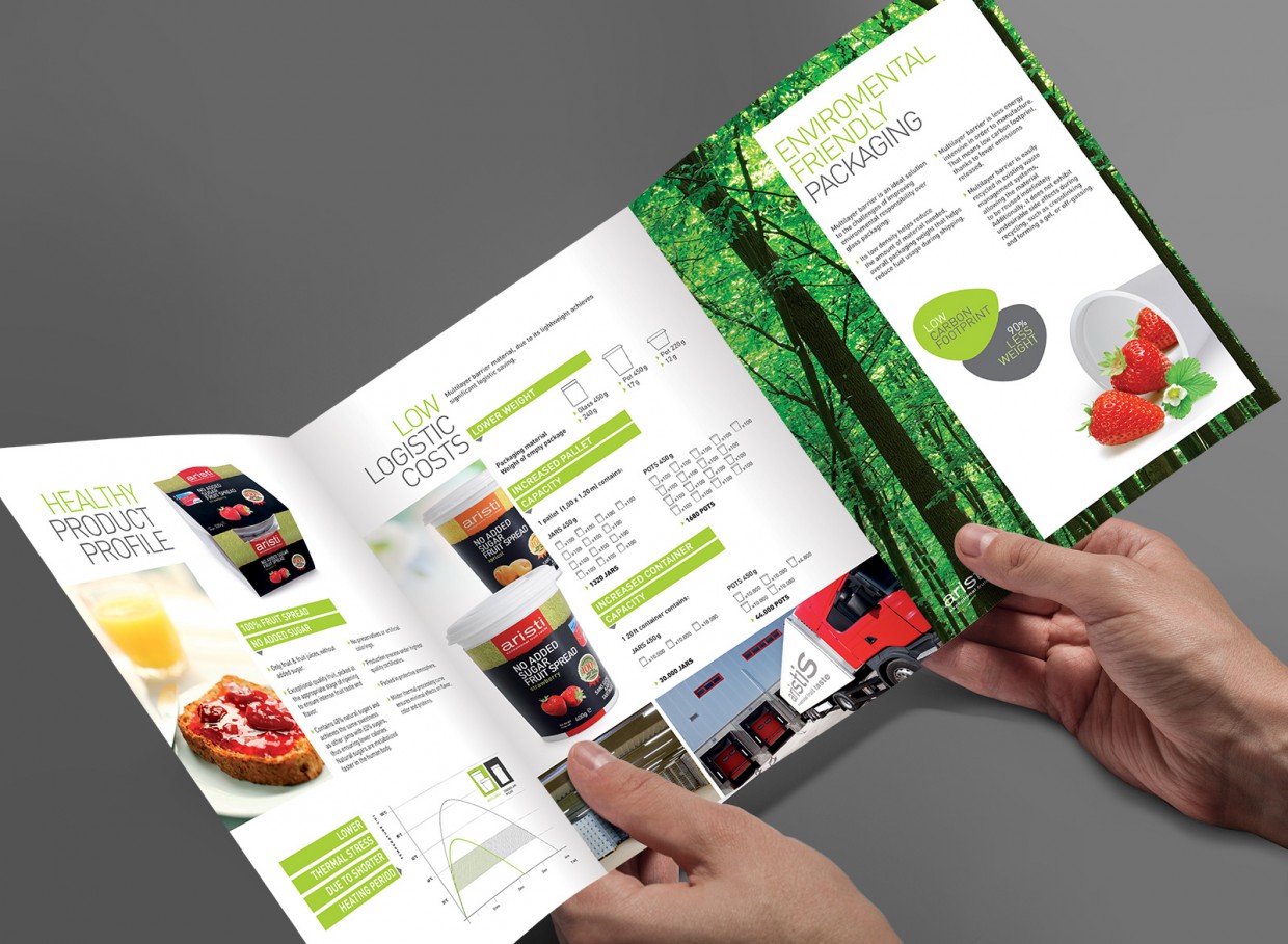 Σχεδιασμός εντύπου - Τρίπτυχο (εσωτερικό)